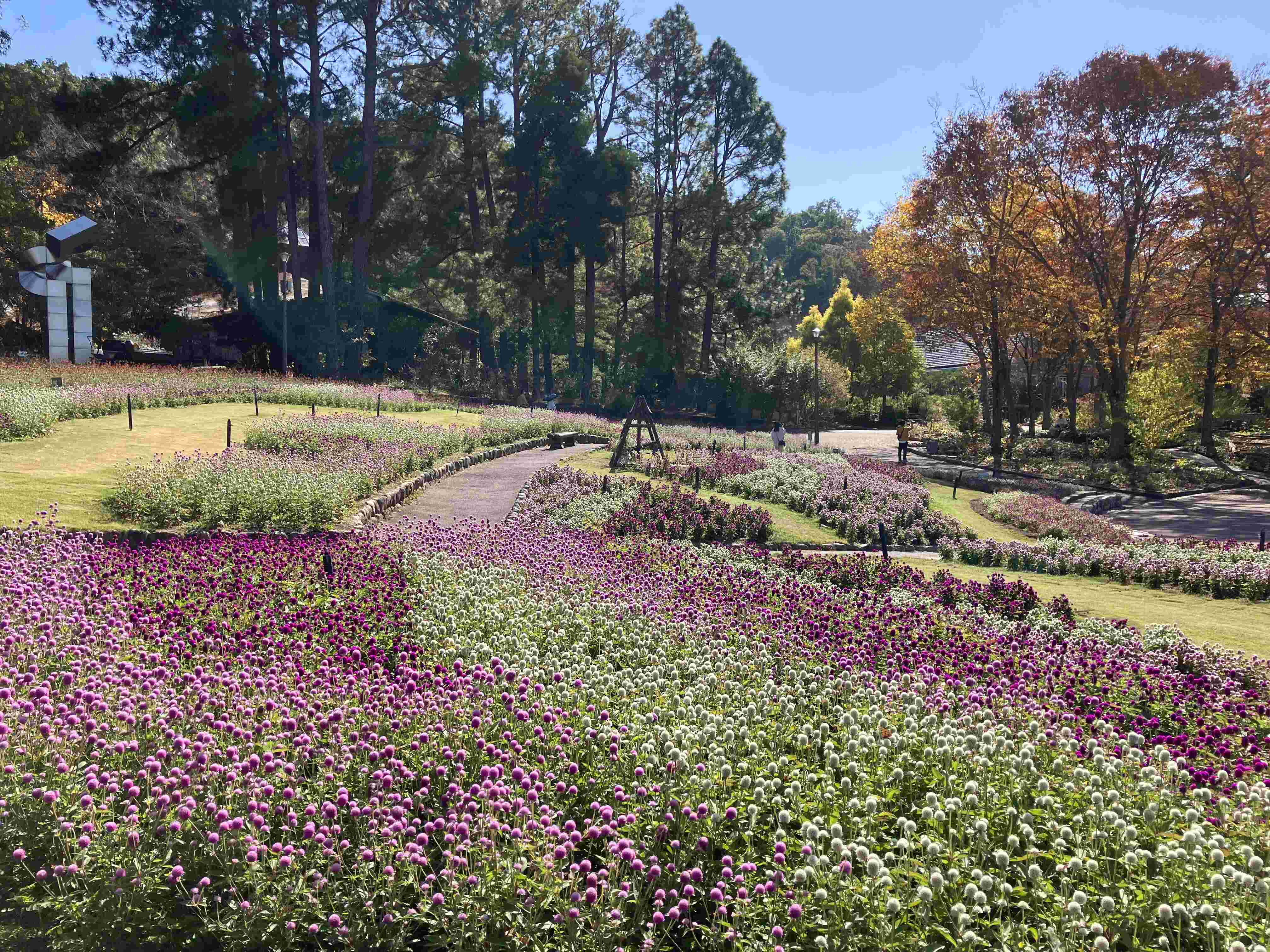 🌸 오사카부립 꽃의 문화원(오사카후리츠 하나노분카엔) 이미지 6